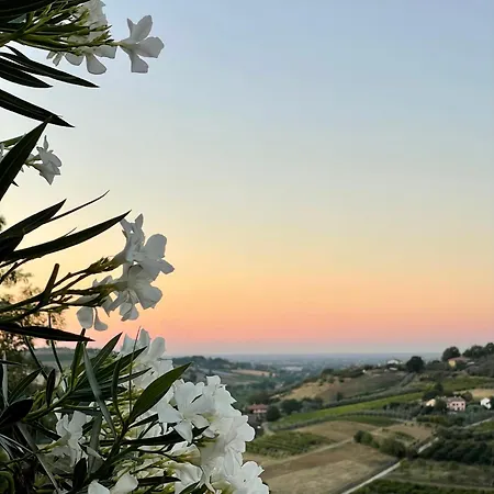 Agriturismo Villa Venti-3